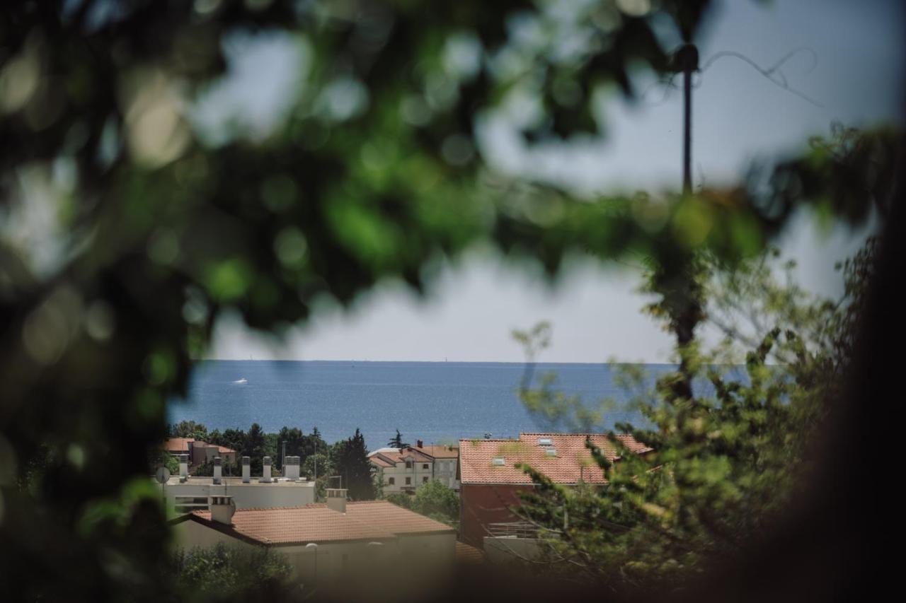 Belvedere Holidays Novigrad  Екстер'єр фото